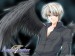 Angels-Feather_poptp_27361.jpg